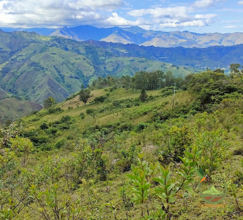 SE VENDE FANTÁSTICA FINCA EN LA PARTE ALTA DE VILCABAMBA.