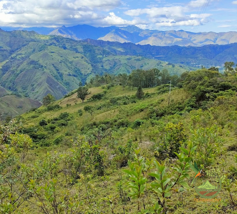 SE VENDE FANTÁSTICA FINCA EN LA PARTE ALTA DE VILCABAMBA.