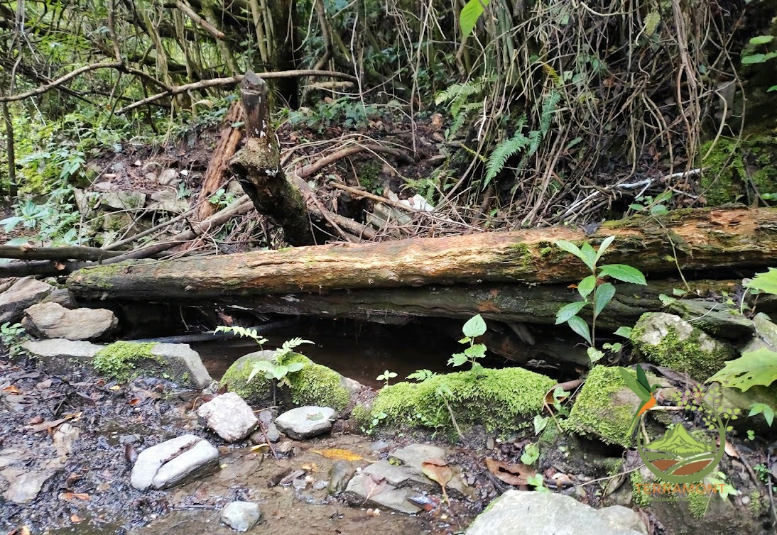 SE VENDE FANTÁSTICA FINCA EN LA PARTE ALTA DE VILCABAMBA.