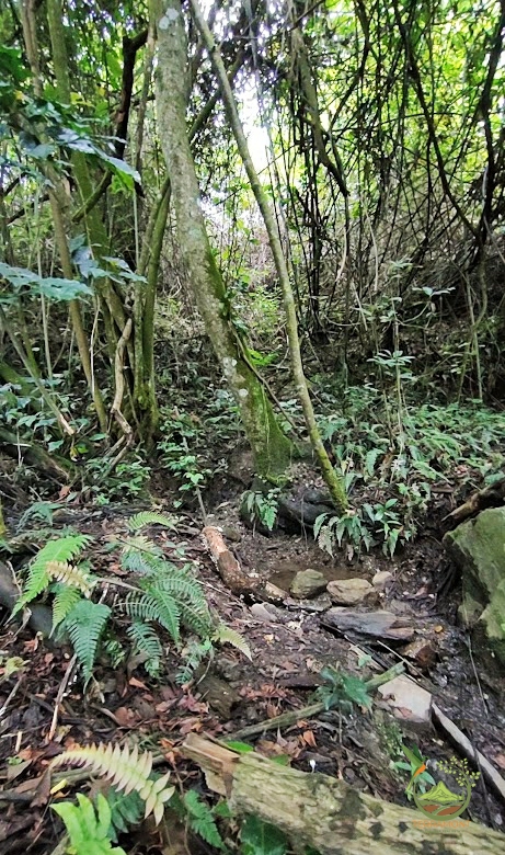 SE VENDE FANTÁSTICA FINCA EN LA PARTE ALTA DE VILCABAMBA.