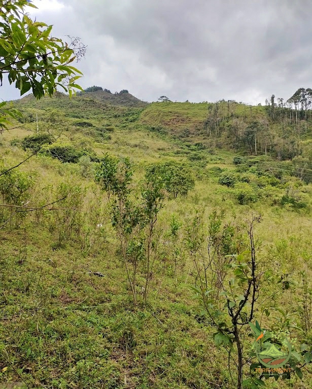 SE VENDE FANTÁSTICA FINCA EN LA PARTE ALTA DE VILCABAMBA.