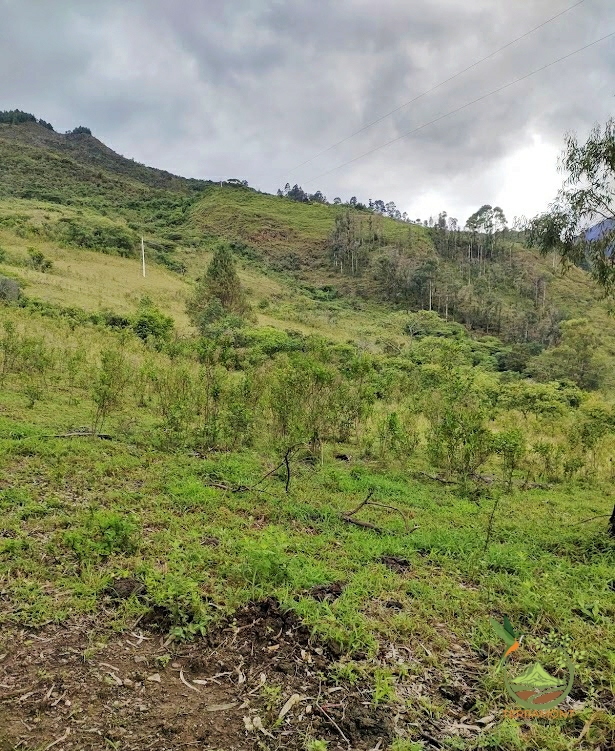 SE VENDE FANTÁSTICA FINCA EN LA PARTE ALTA DE VILCABAMBA.