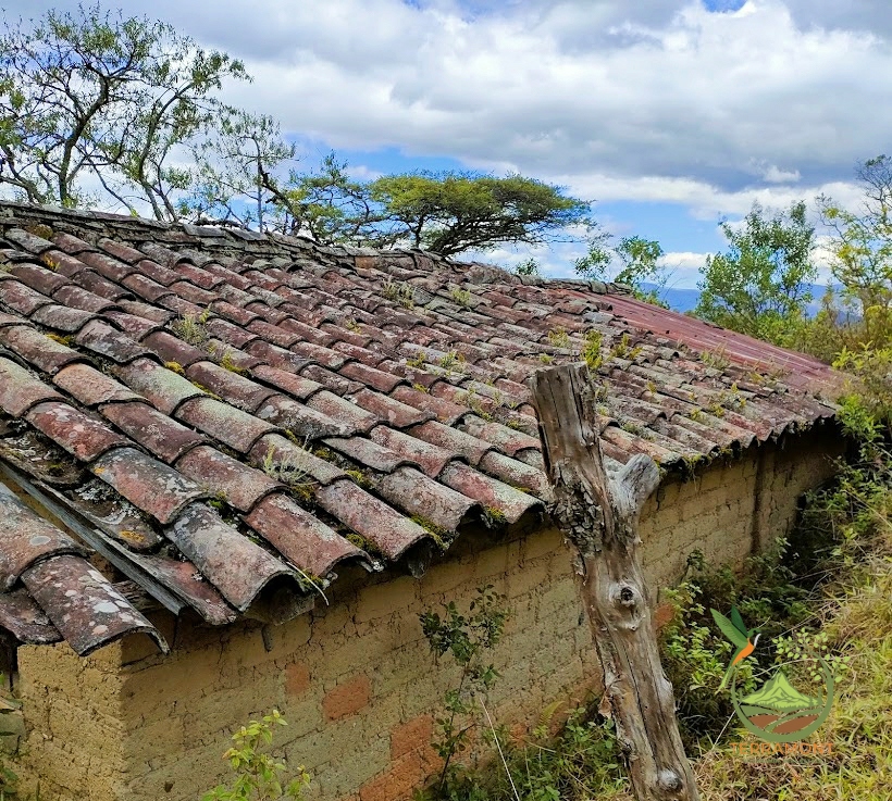 SE VENDE FANTÁSTICA FINCA EN LA PARTE ALTA DE VILCABAMBA.