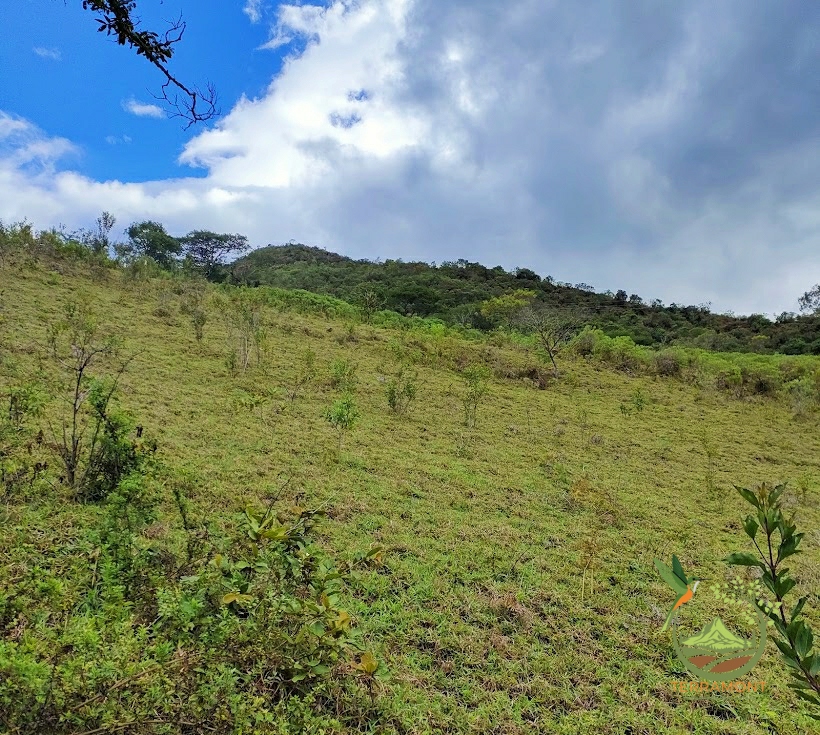 SE VENDE FANTÁSTICA FINCA EN LA PARTE ALTA DE VILCABAMBA.