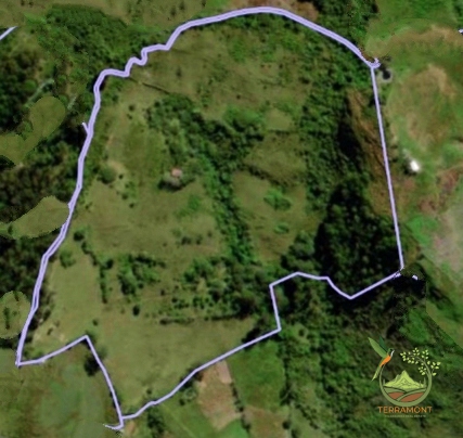 SE VENDE FANTÁSTICA FINCA EN LA PARTE ALTA DE VILCABAMBA.