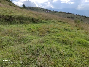 SE VENDE TERRENO DE 15 HECTÁREAS (37 ACRES) EN MALACATOS