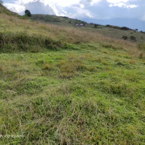 SE VENDE TERRENO DE 15 HECTÁREAS (37 ACRES) EN MALACATOS