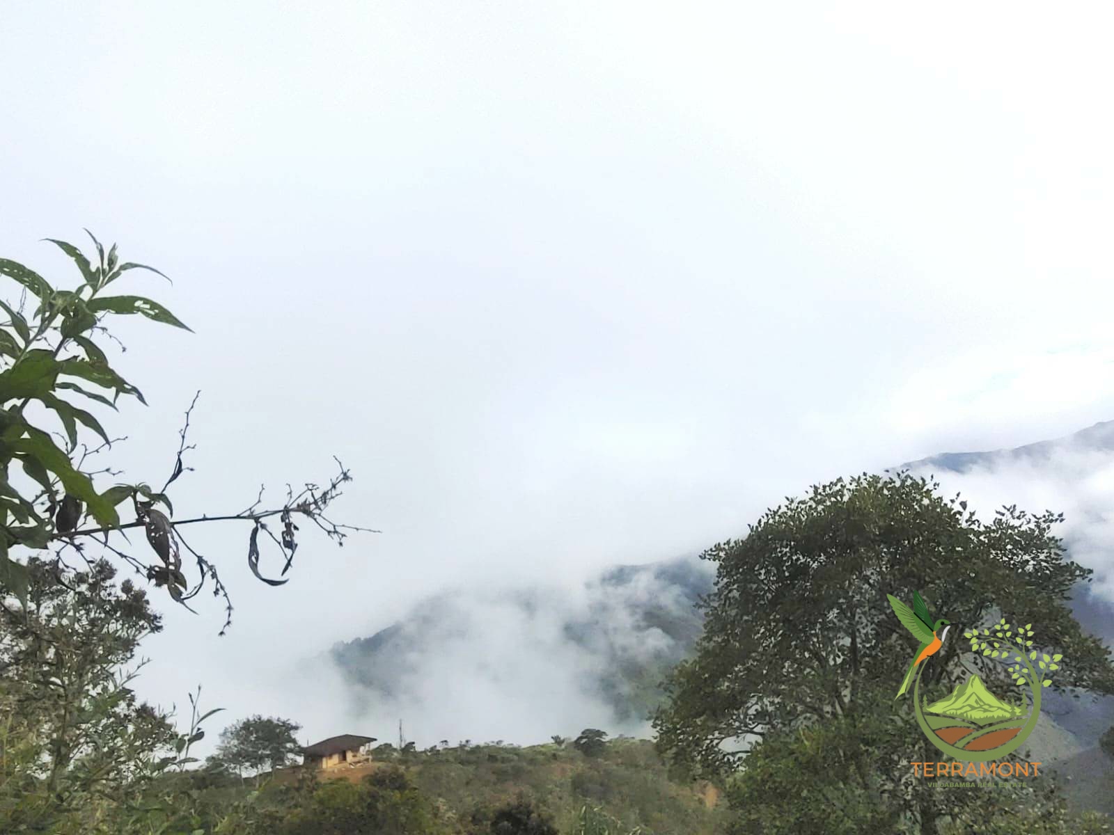 SE VENDE MAGNIFICA FINCA DE 42 HECTAREAS. (103.78 ACRES) EN VILCABAMBA.