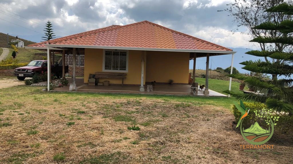 c9bf11dc-3b3e-458b-9646-c9218d514ec6