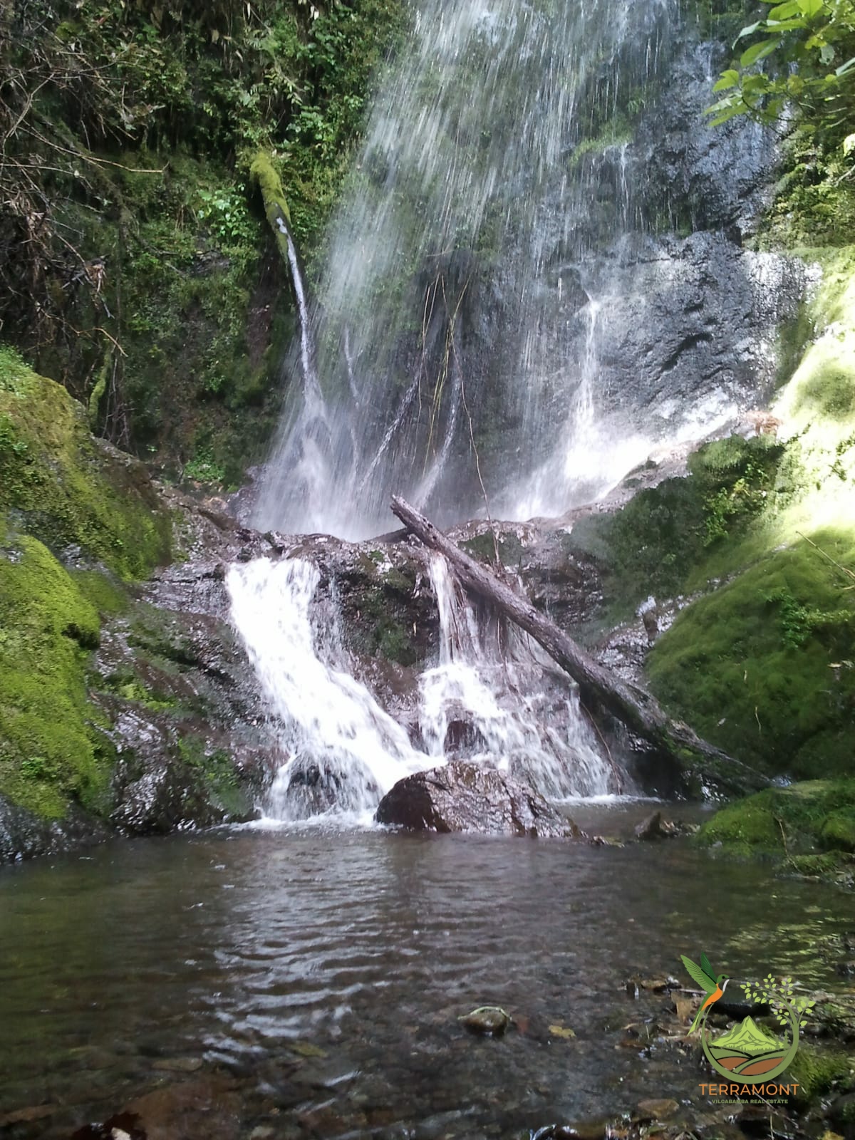 SE VENDE MAGNIFICA FINCA DE 42 HECTAREAS. (103.78 ACRES) EN VILCABAMBA.