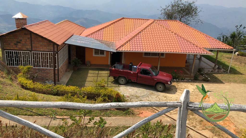 e0044508-5de0-4544-8548-45eaf388c451