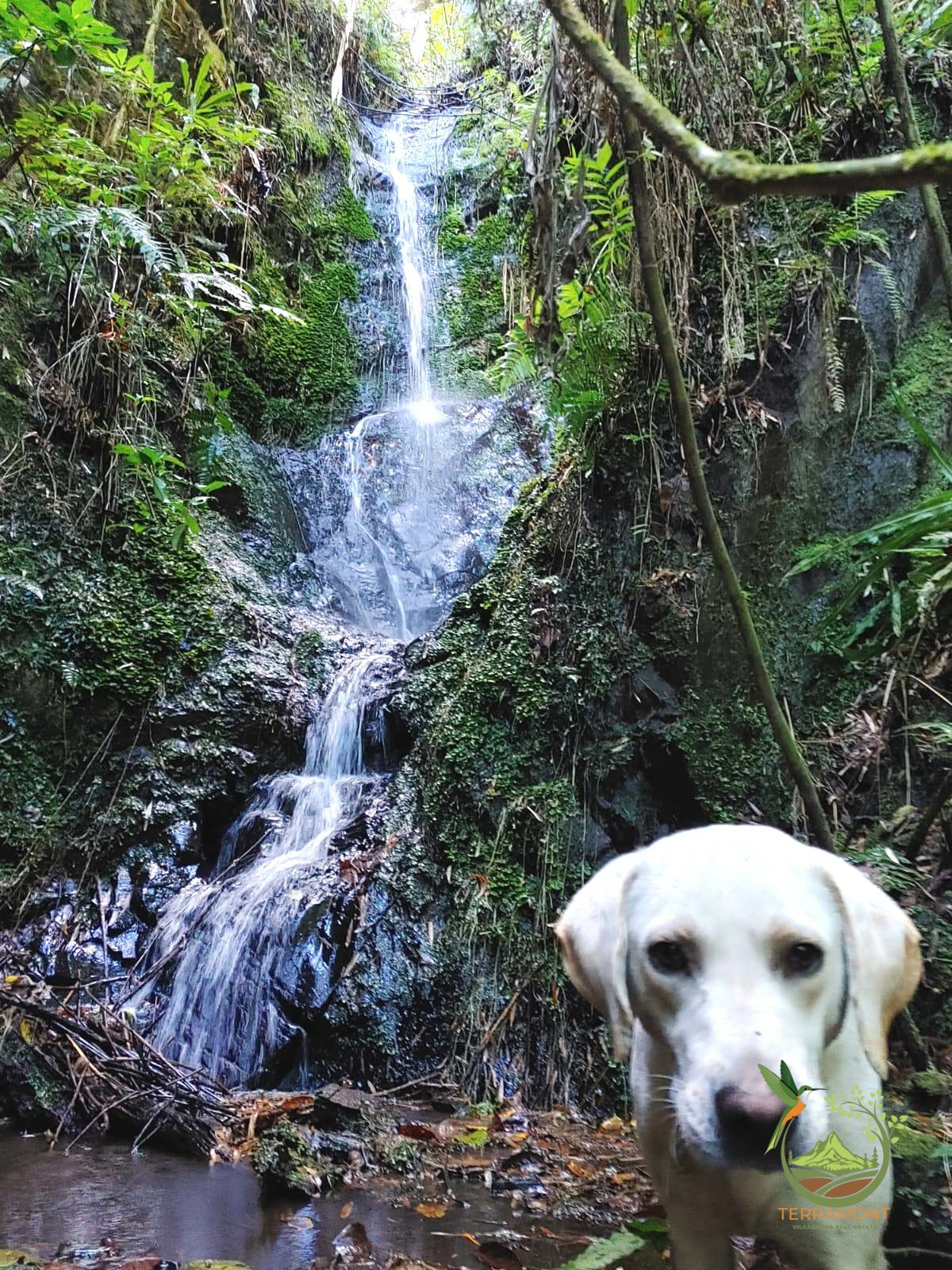 SE VENDE MAGNIFICA FINCA DE 42 HECTAREAS. (103.78 ACRES) EN VILCABAMBA.