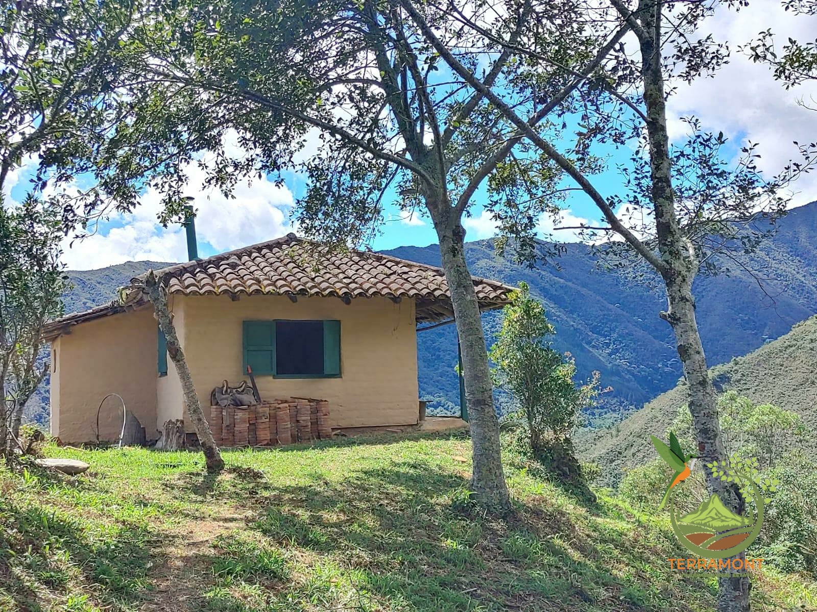 SE VENDE MAGNIFICA FINCA DE 42 HECTAREAS. (103.78 ACRES) EN VILCABAMBA.