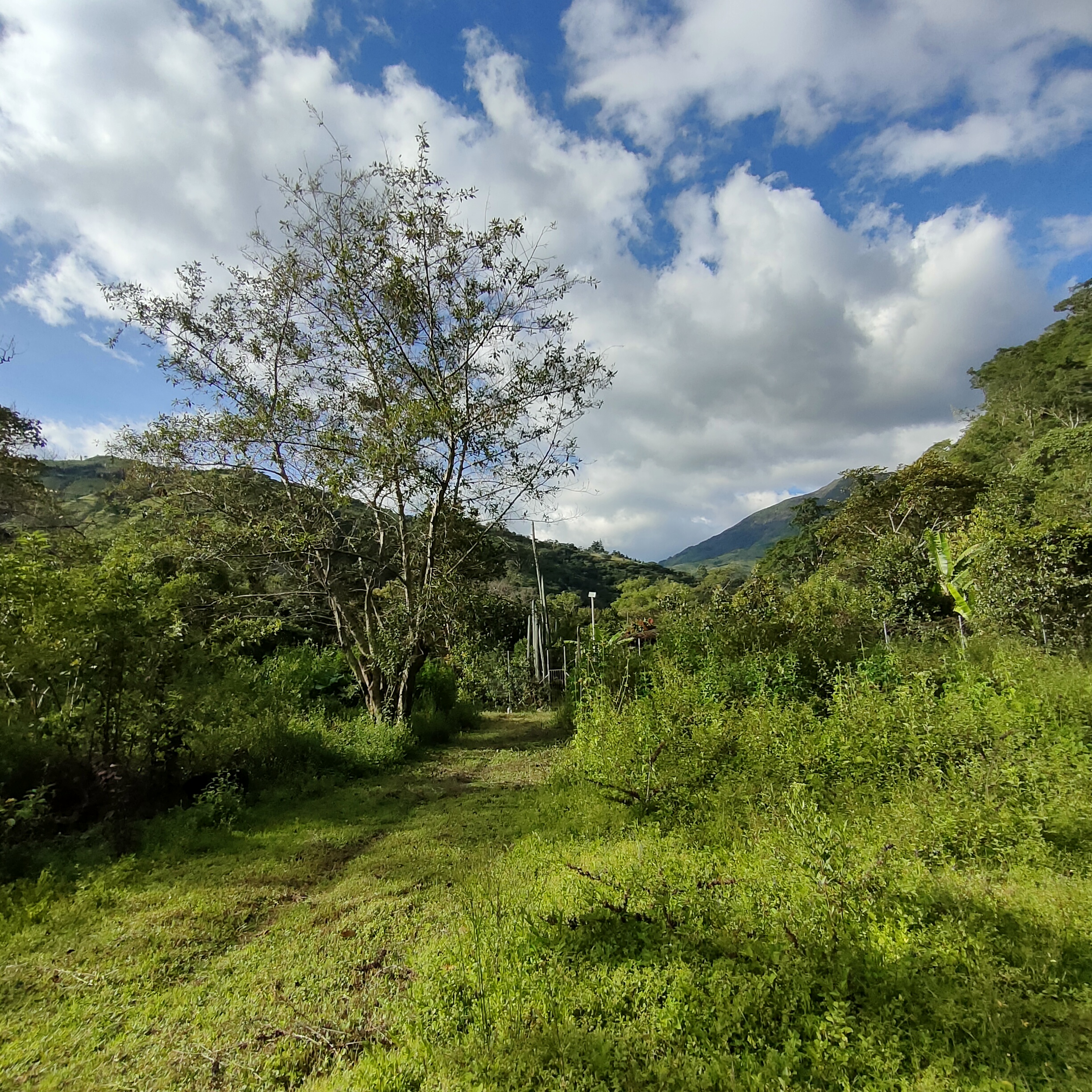 SE VENDE CASA MAS TERRENO JUNTO AL RIO.