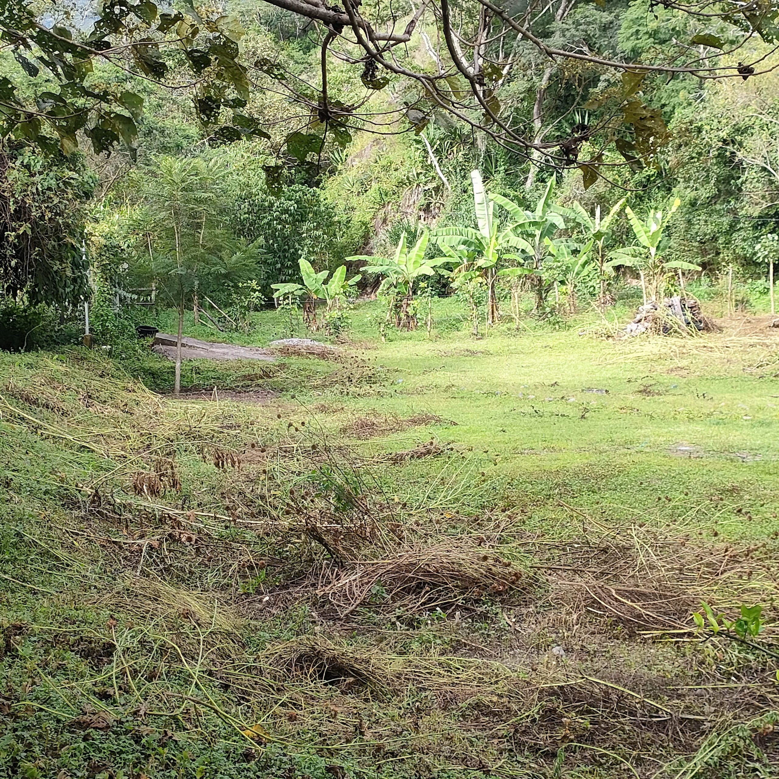 SE VENDE CASA MAS TERRENO JUNTO AL RIO.