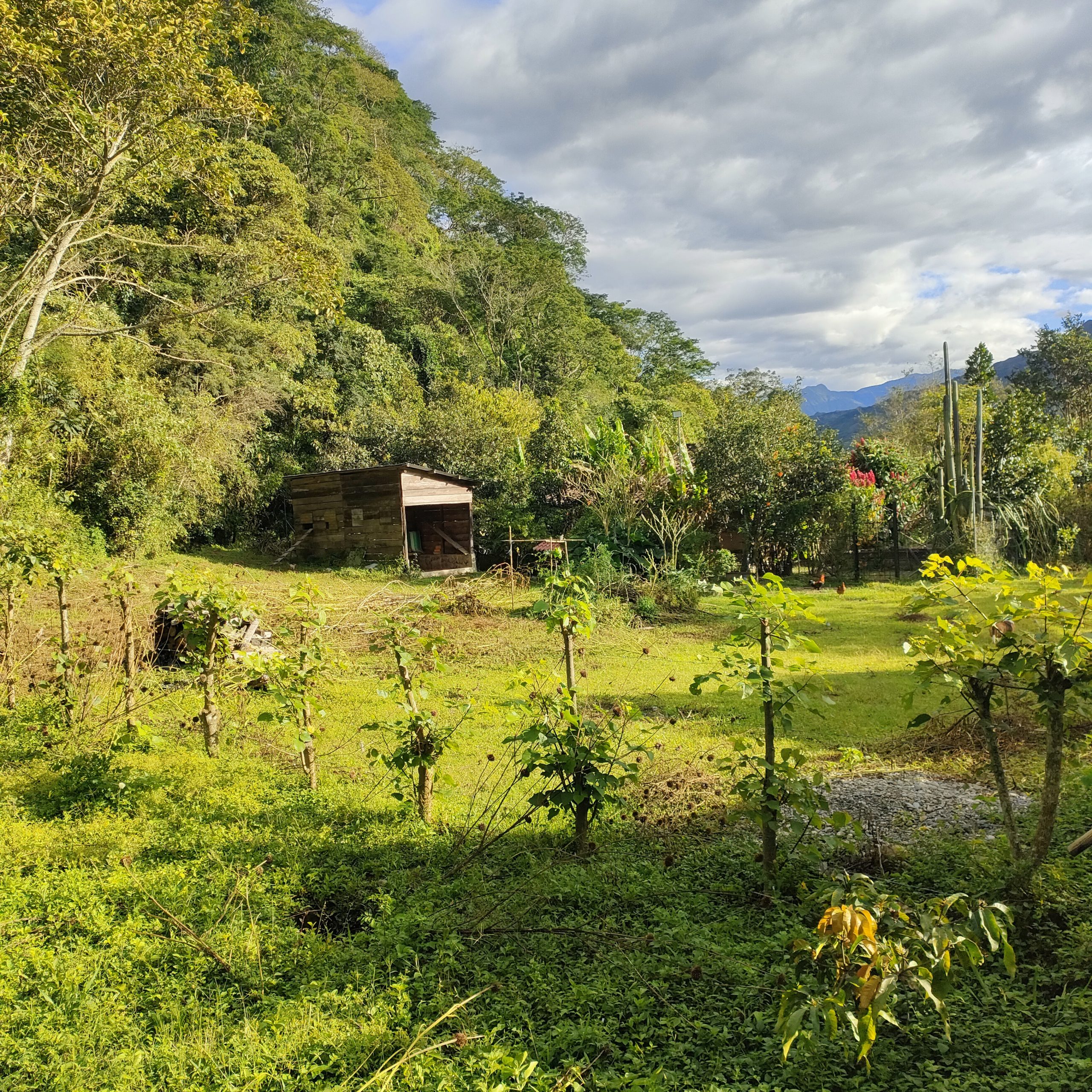 SE VENDE CASA MAS TERRENO JUNTO AL RIO.