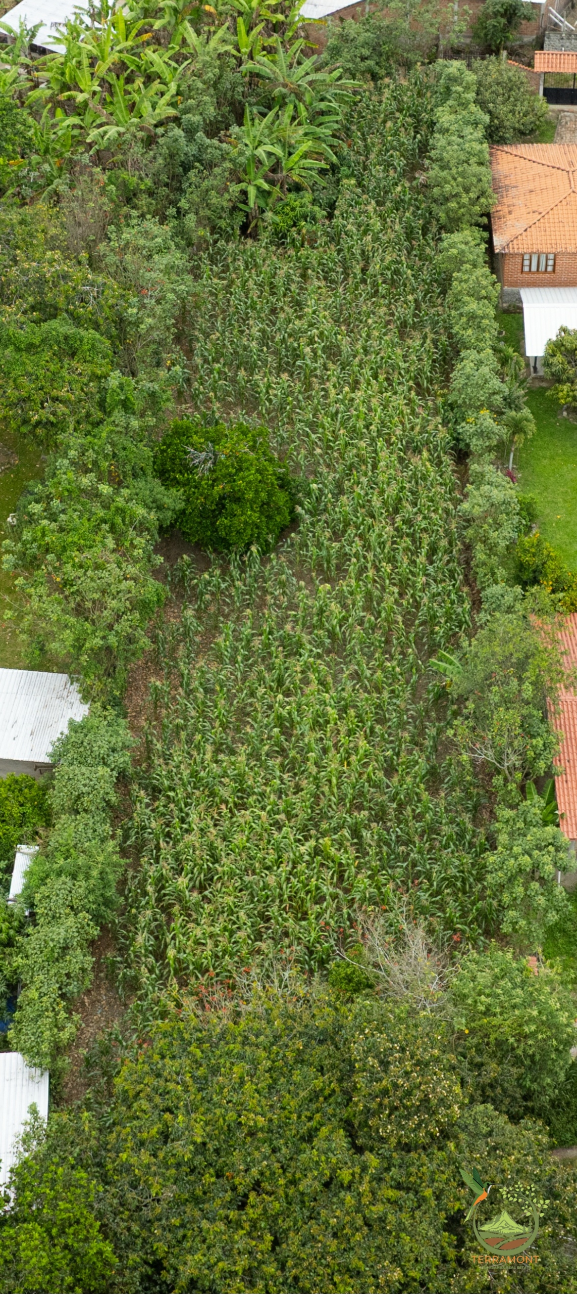 SE VENDE TERRENO EN VILCABAMBA