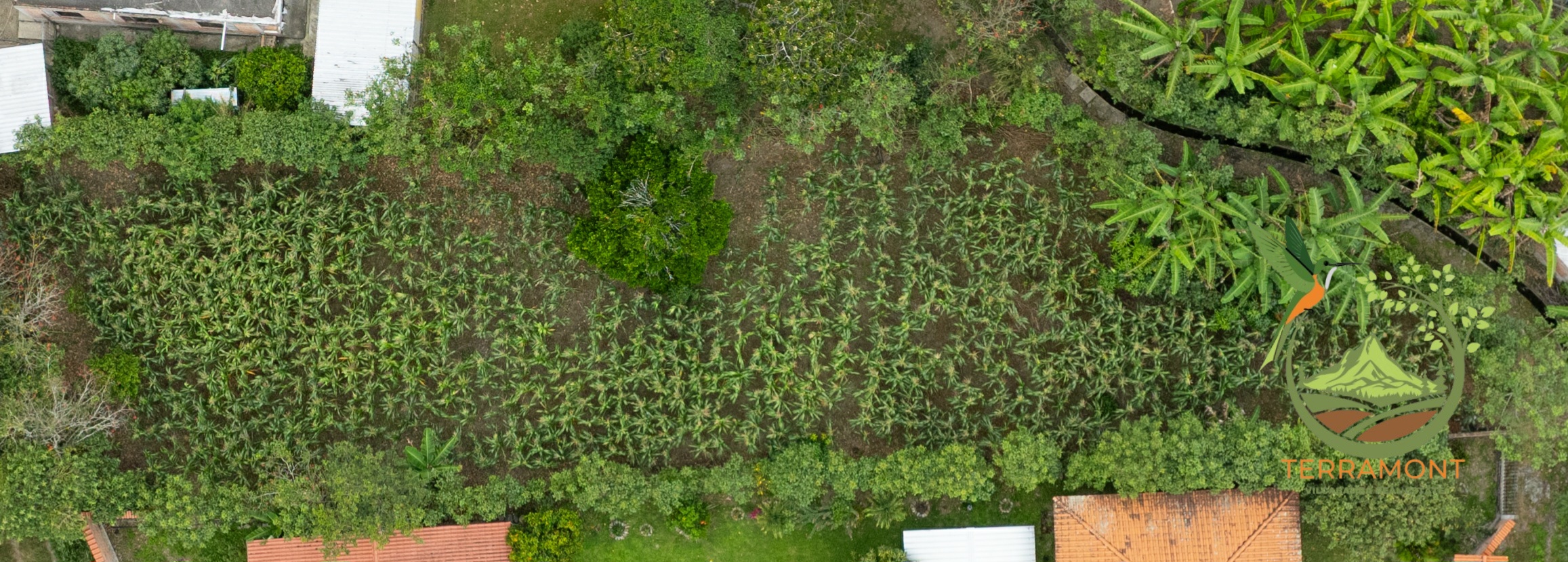 SE VENDE TERRENO EN VILCABAMBA