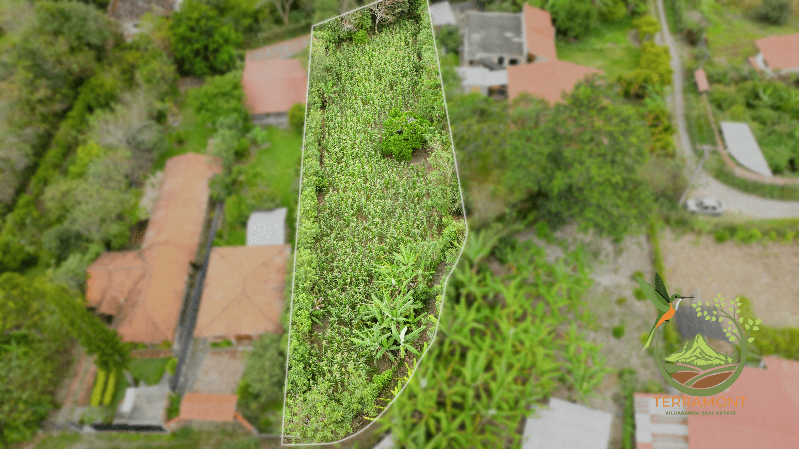 SE VENDE TERRENO EN VILCABAMBA