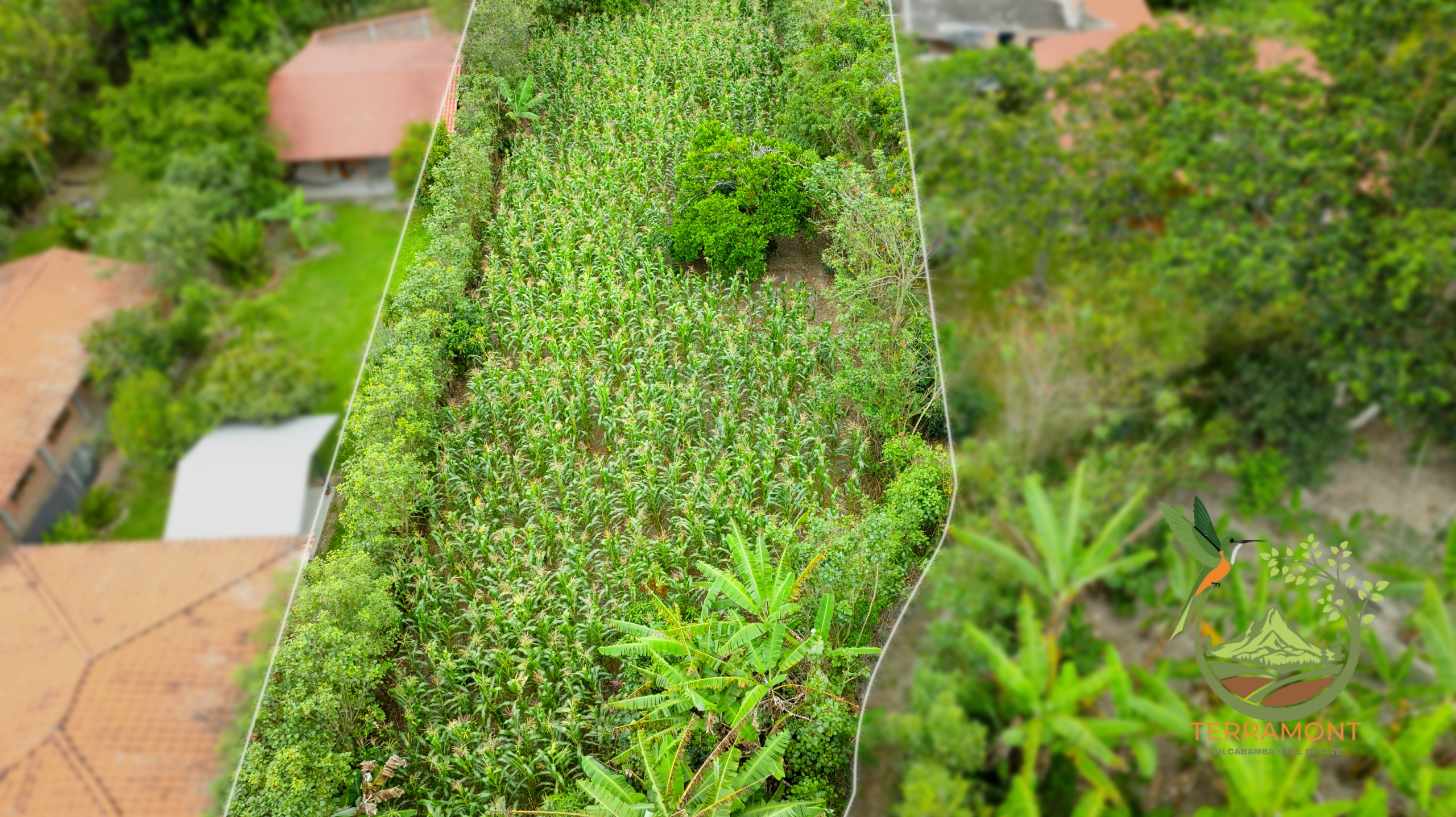 SE VENDE TERRENO EN VILCABAMBA