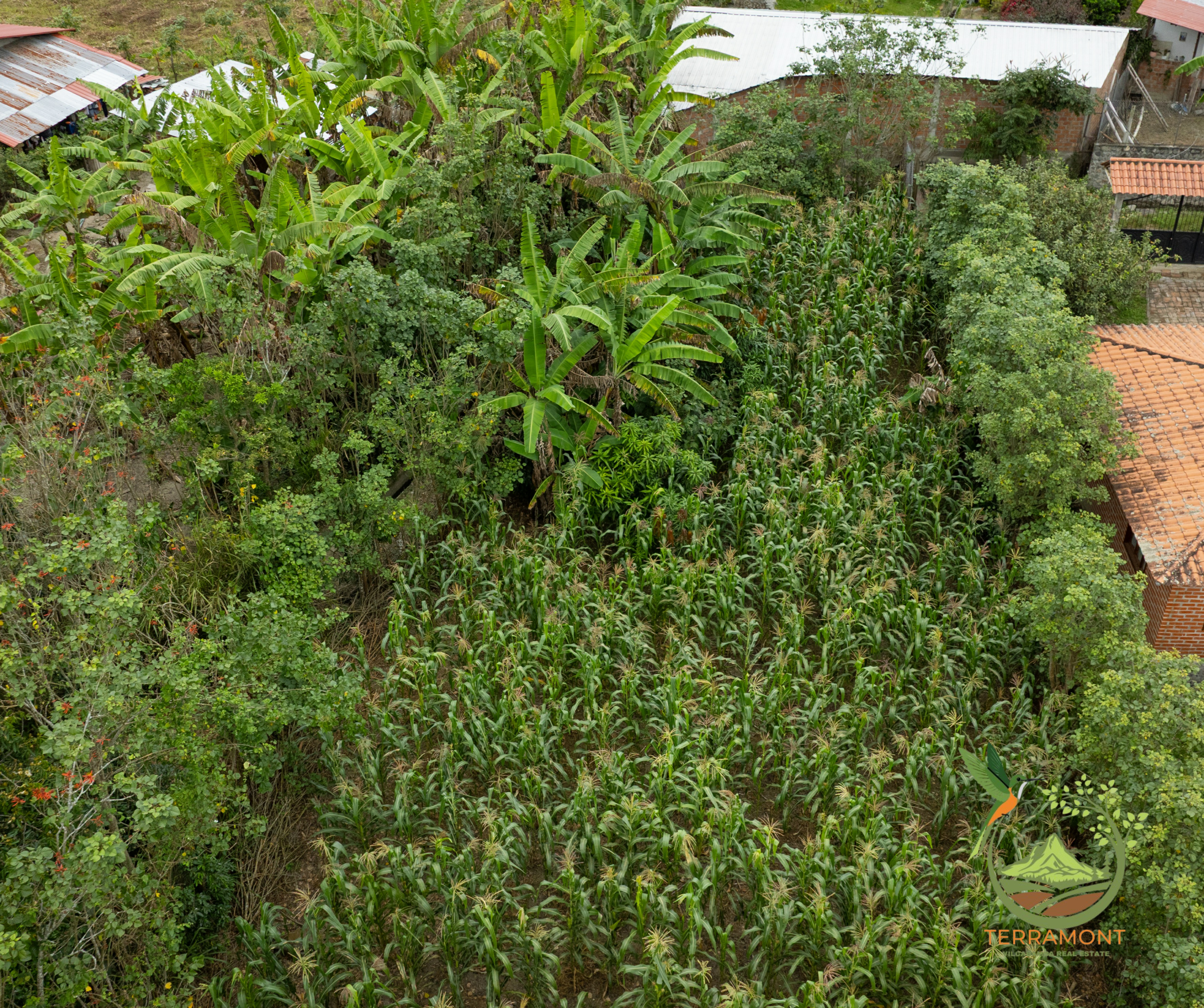 SE VENDE TERRENO EN VILCABAMBA