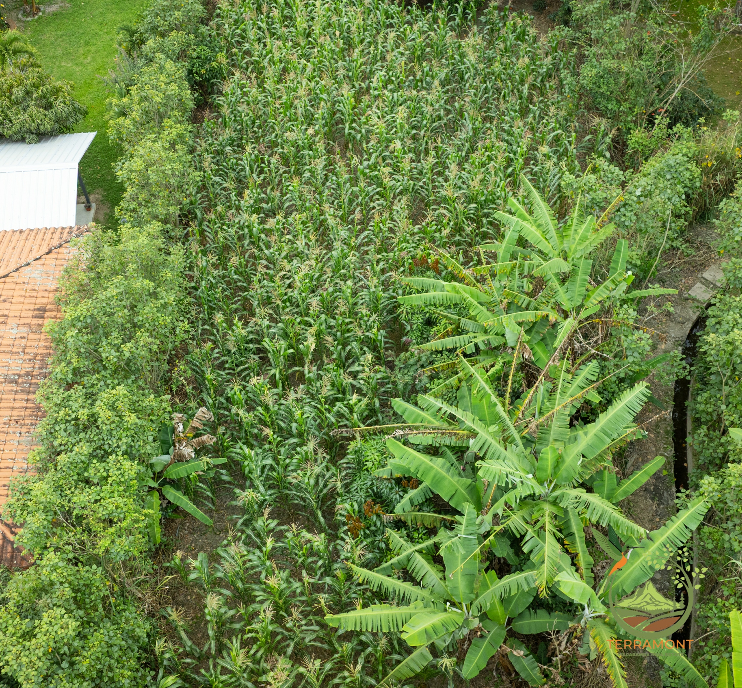 SE VENDE TERRENO EN VILCABAMBA