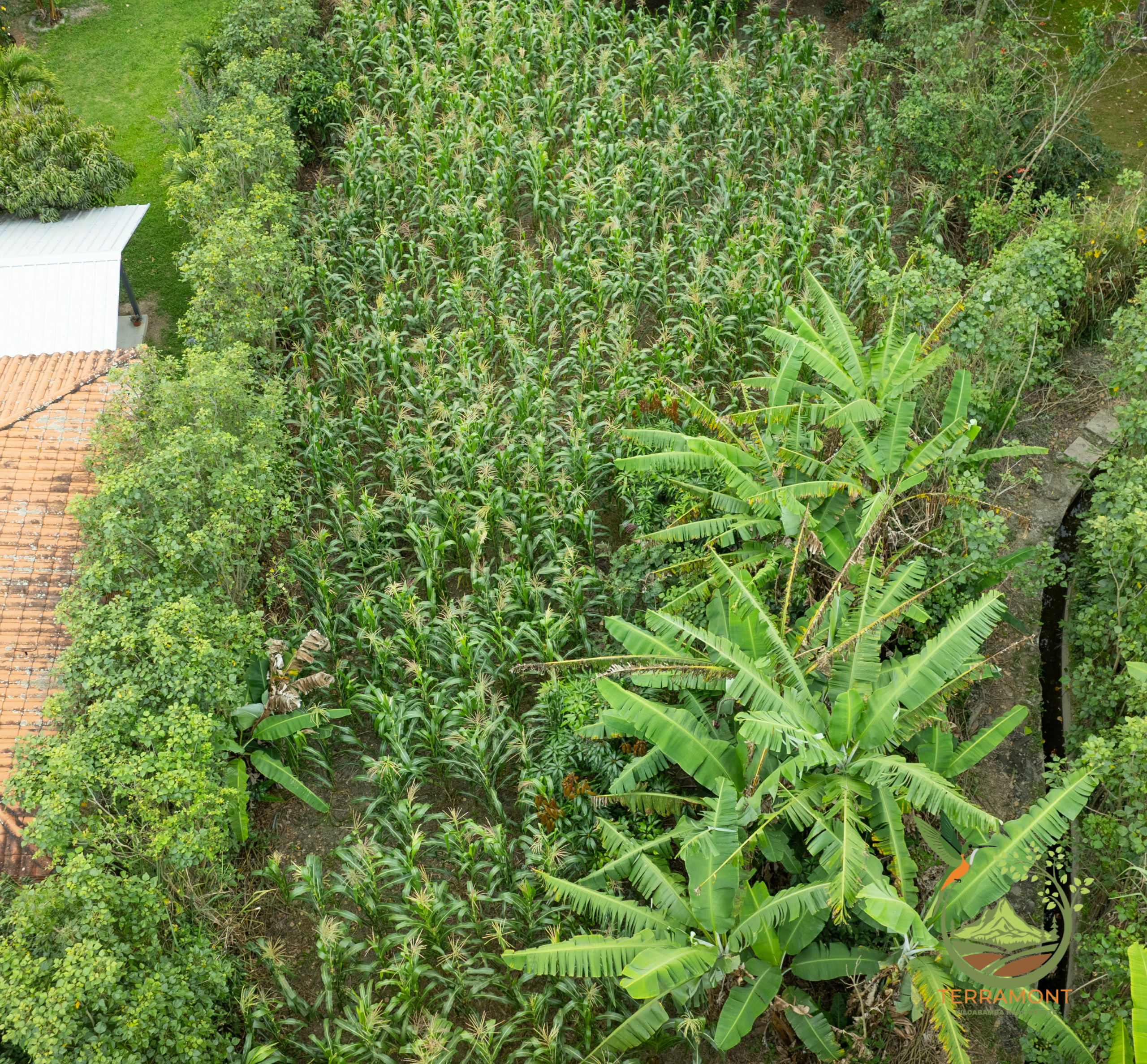 SE VENDE TERRENO EN VILCABAMBA