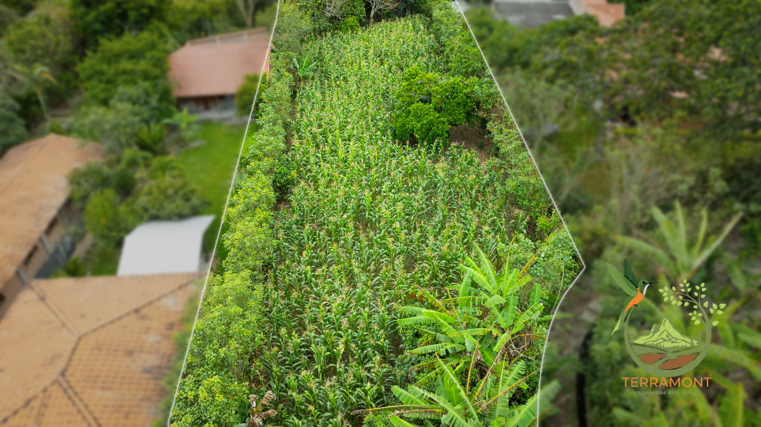 SE VENDE TERRENO EN VILCABAMBA