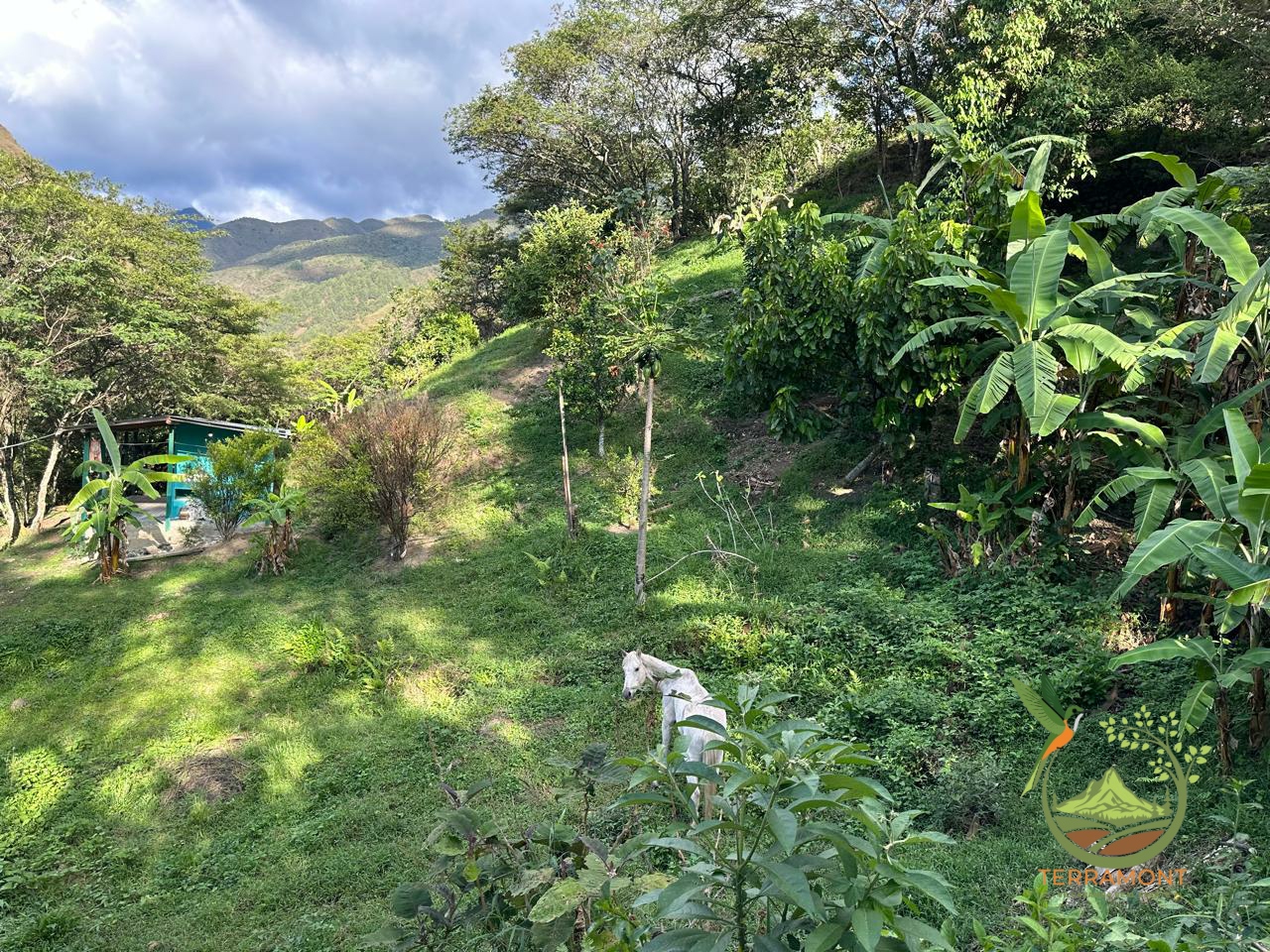 046a129b-c810-47dd-aec5-7bb3ecba116d