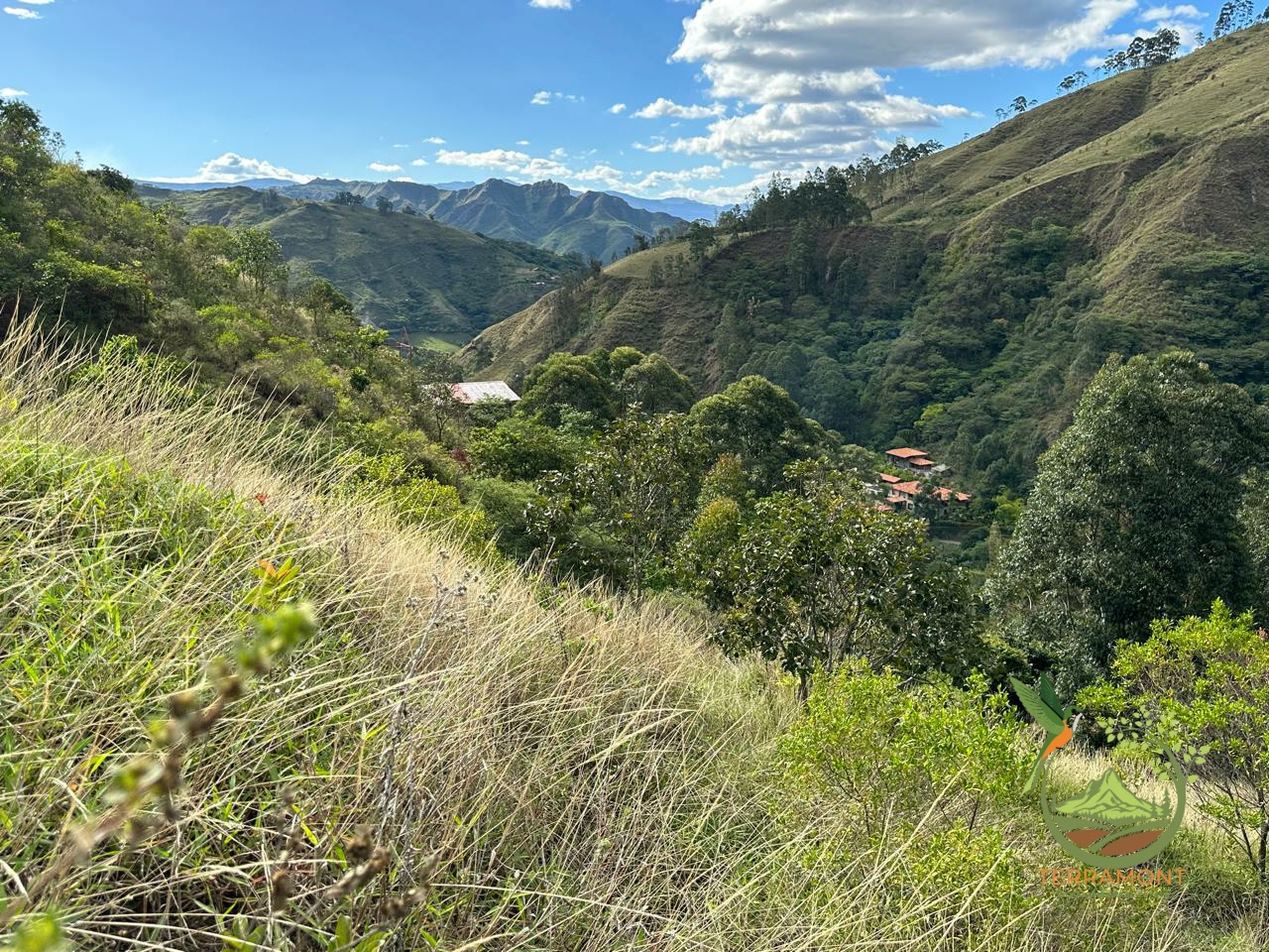 184fa06c-5962-44db-8416-6f717102d24c