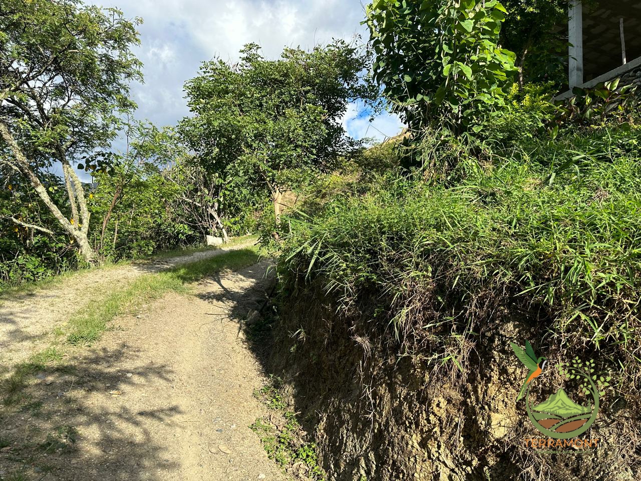 3edd7ee4-214f-488b-a8df-aa76a6cb9c03