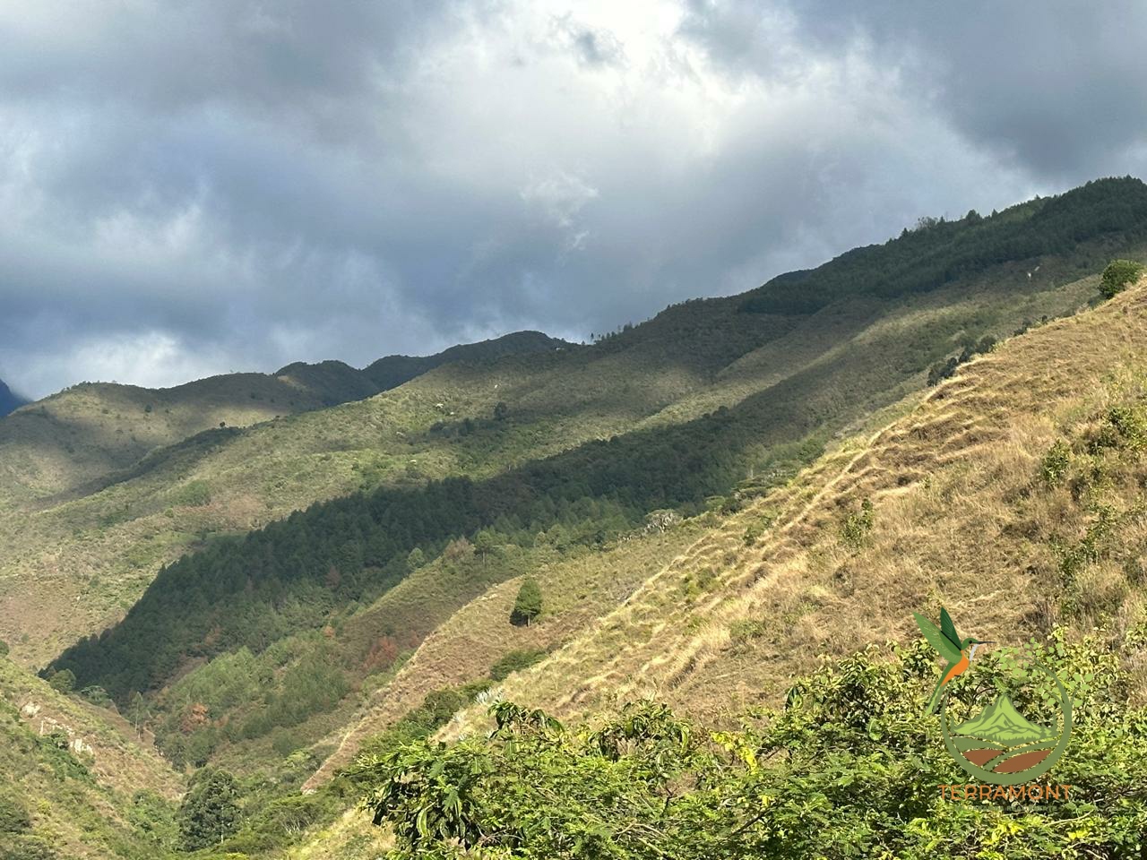 5dfc5544-1d25-44cb-91cd-5afe20a6e2a4