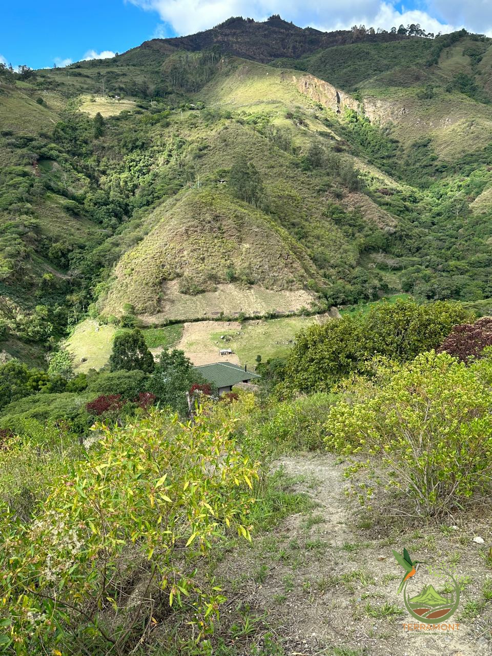 9d29fa2f-0123-4527-ac41-7ffce69a423c