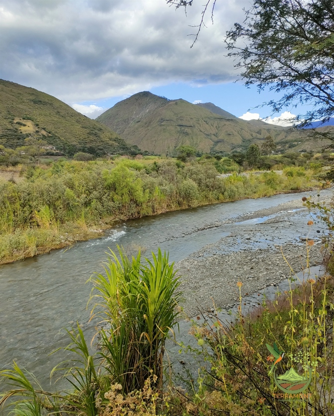 Captura de pantalla 2025-07-17 092452