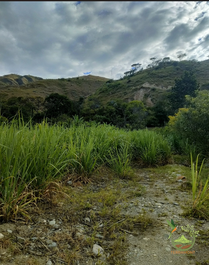 Captura de pantalla 2025-07-17 092511