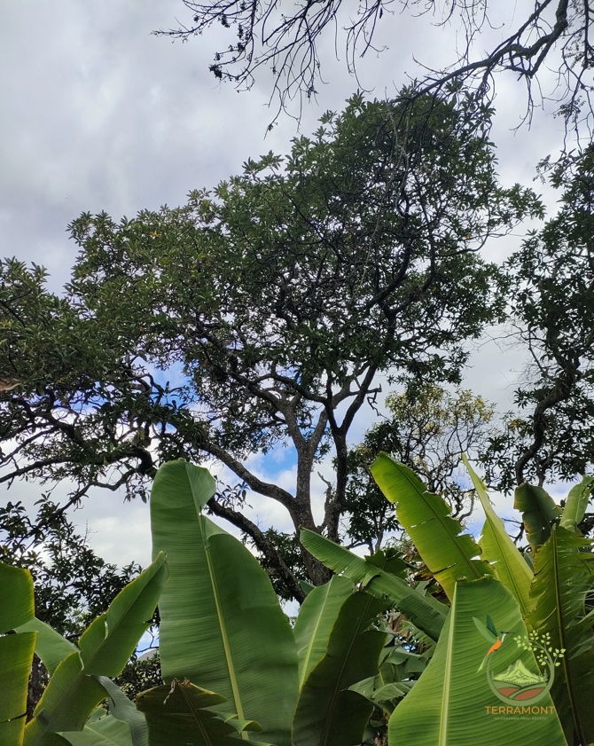 Captura de pantalla 2025-07-17 093101