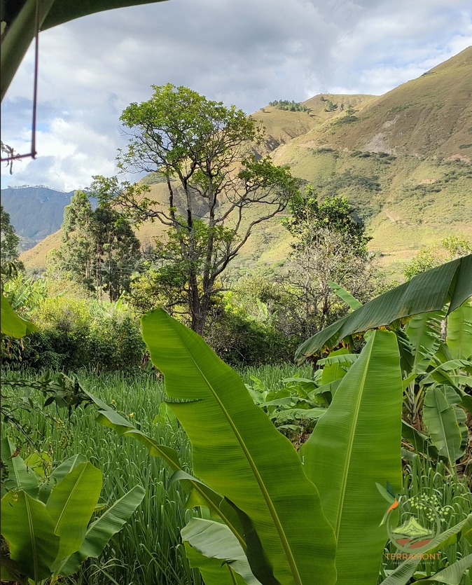 Captura de pantalla 2025-07-17 093156