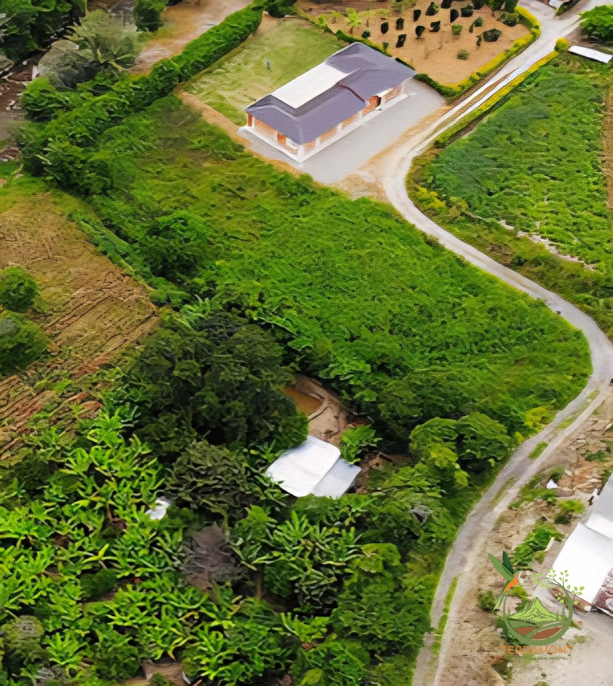 Imagen de WhatsApp 2025-07-11 a las 16.32.45_c88db946