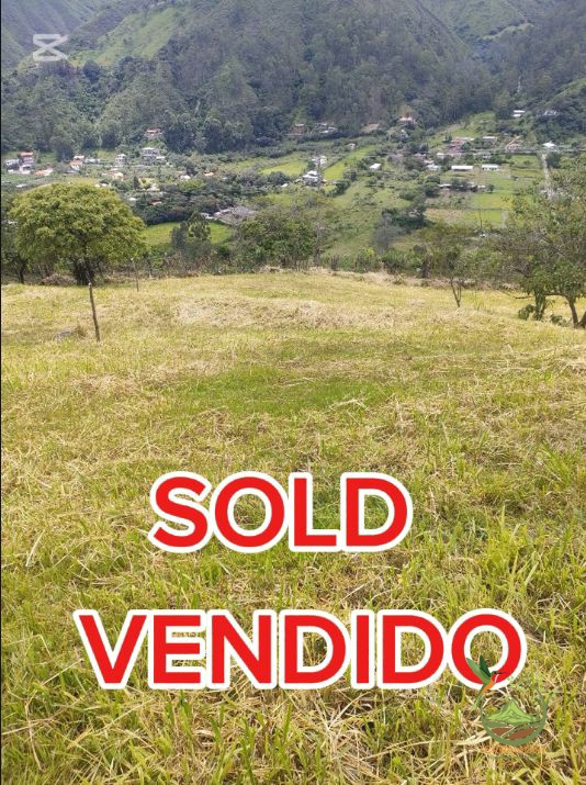 Imagen de WhatsApp 2025-07-17 a las 11.23.57_978a212b