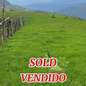 Magnifica finca en Venta cerca de Vilcabamba (VENDIDO)