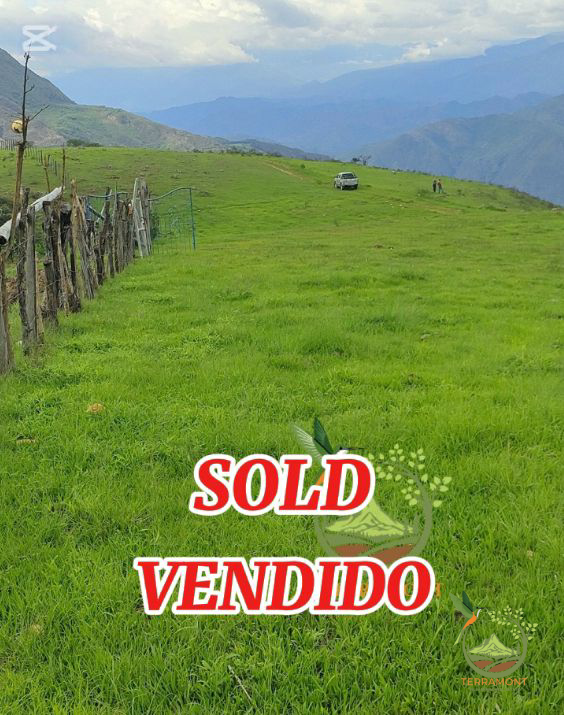 Imagen de WhatsApp 2025-07-17 a las 11.23.58_766ba29a