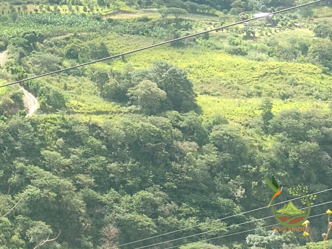 Imagen de WhatsApp 2025-07-18 a las 14.56.38_da56455c