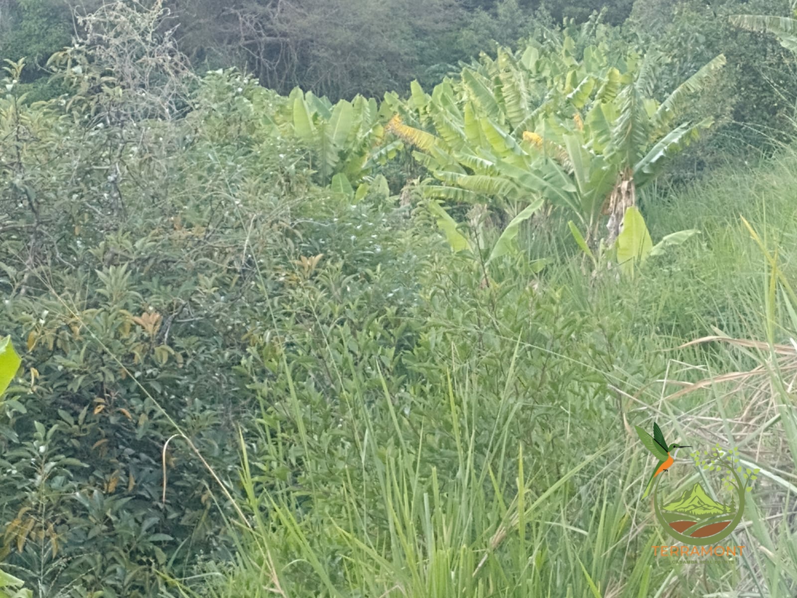 Imagen de WhatsApp 2025-07-18 a las 14.57.24_4e0b7959