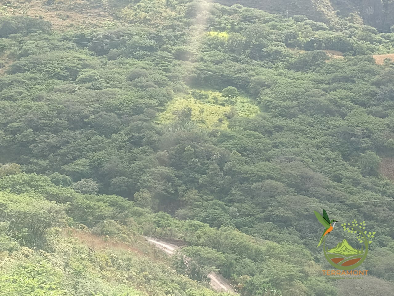 Imagen de WhatsApp 2025-07-18 a las 14.57.24_ab6fce8e