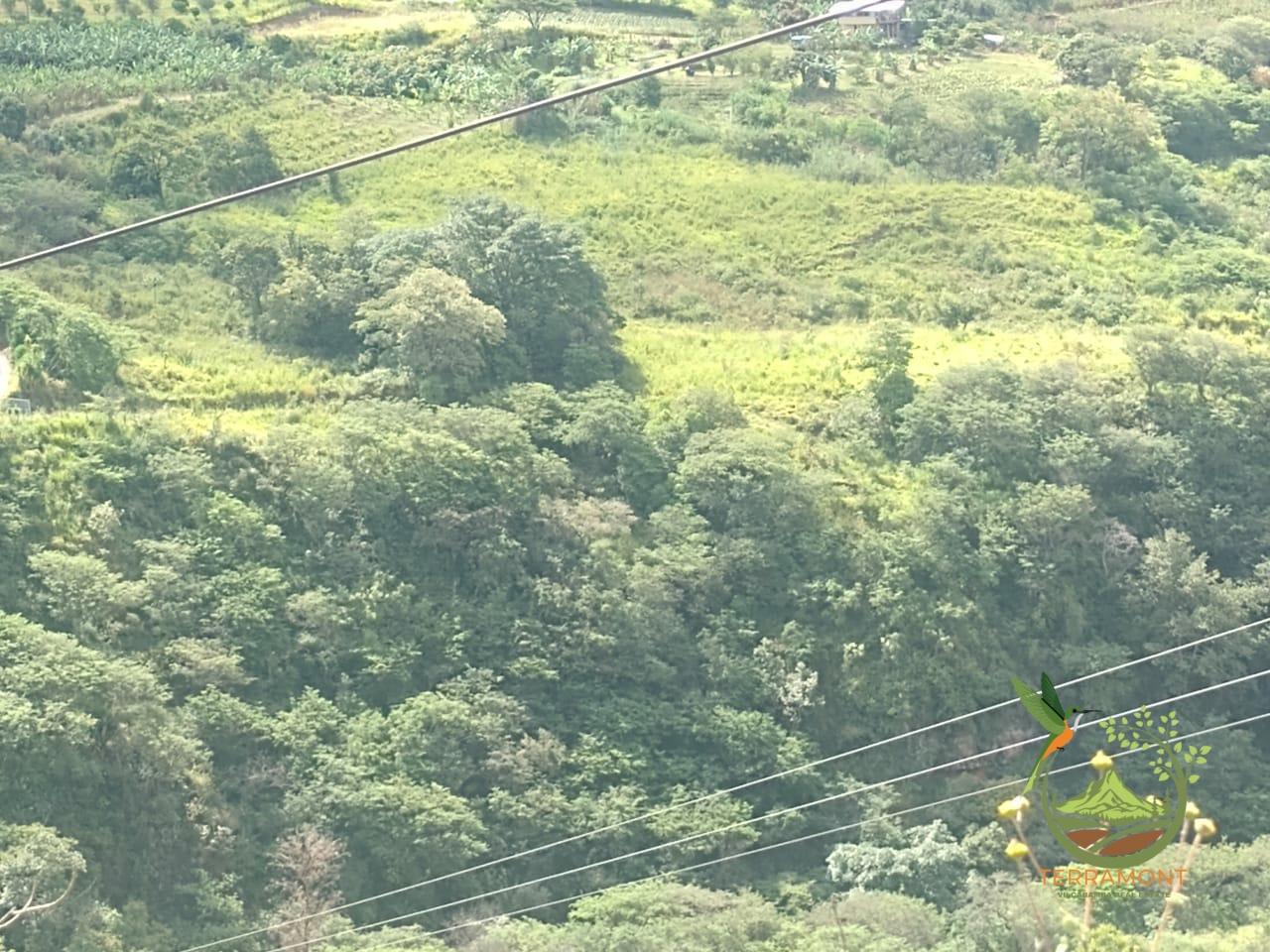 Imagen de WhatsApp 2025-07-18 a las 14.57.24_acb02139