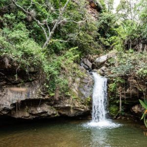 SE VENDE FANTÁSTICA FINCA A 45 MINUTOS DE VILCABAMBA