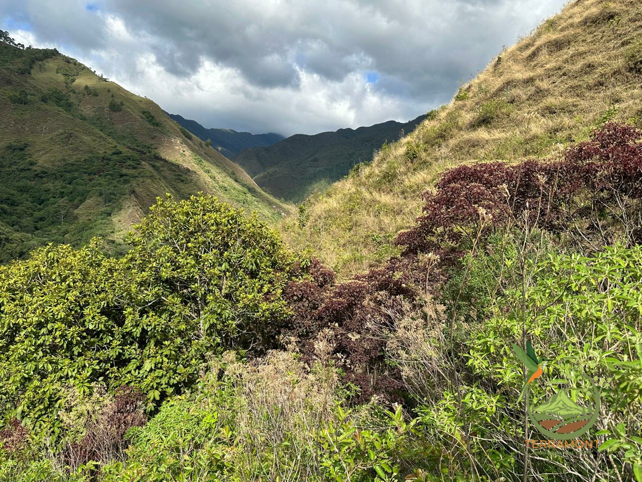 d7b4004d-904e-4eb3-9965-427d6af77071