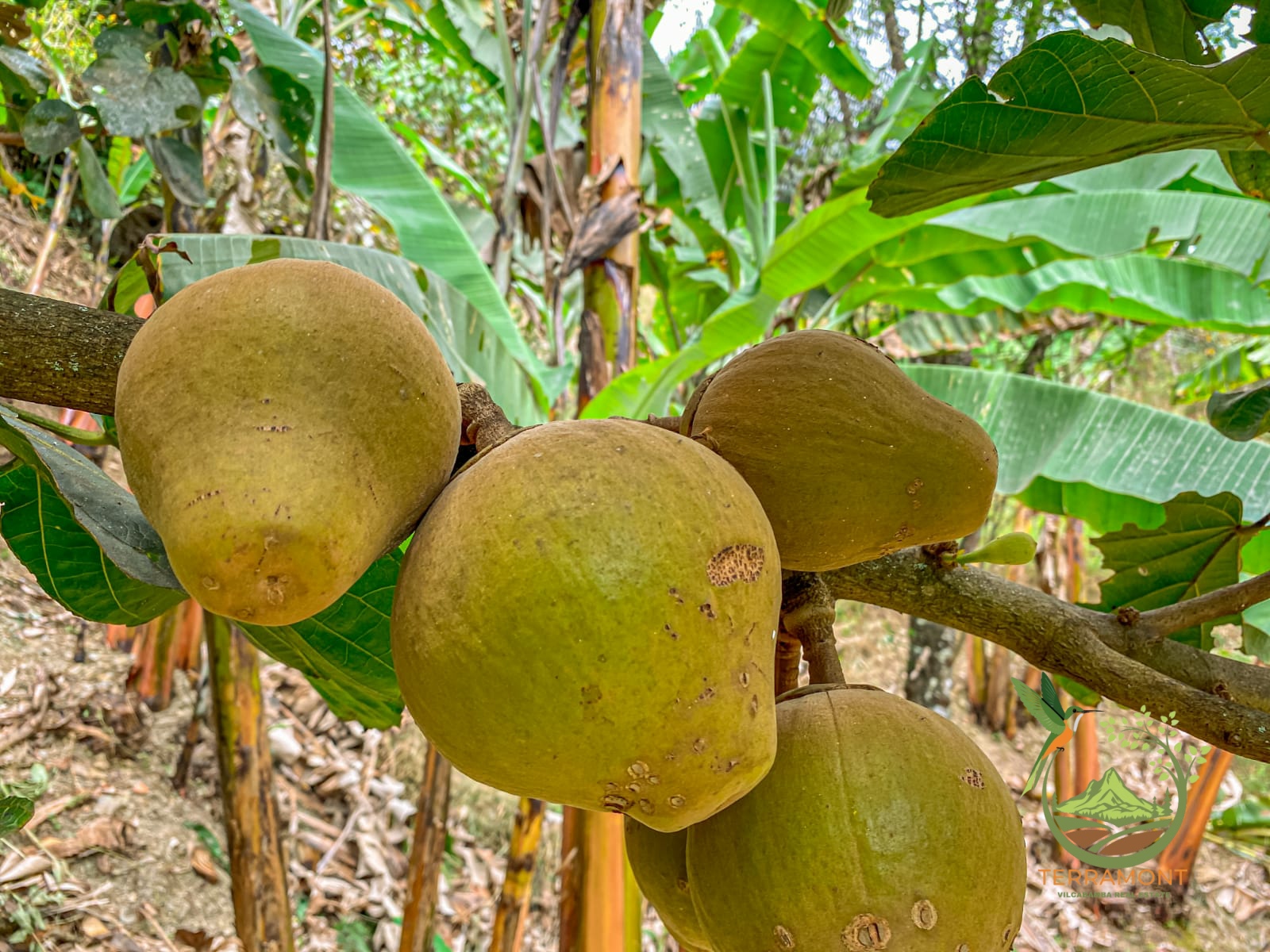 d8f43fd9-0e05-4821-81ce-bdf59621f452