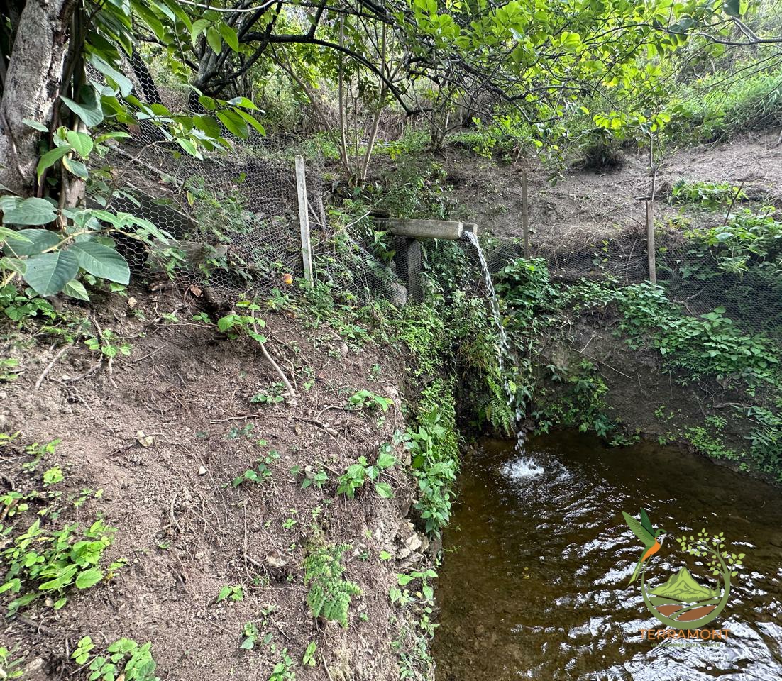 dda779b4-7694-4f2f-8c09-38b4bd7f2b82