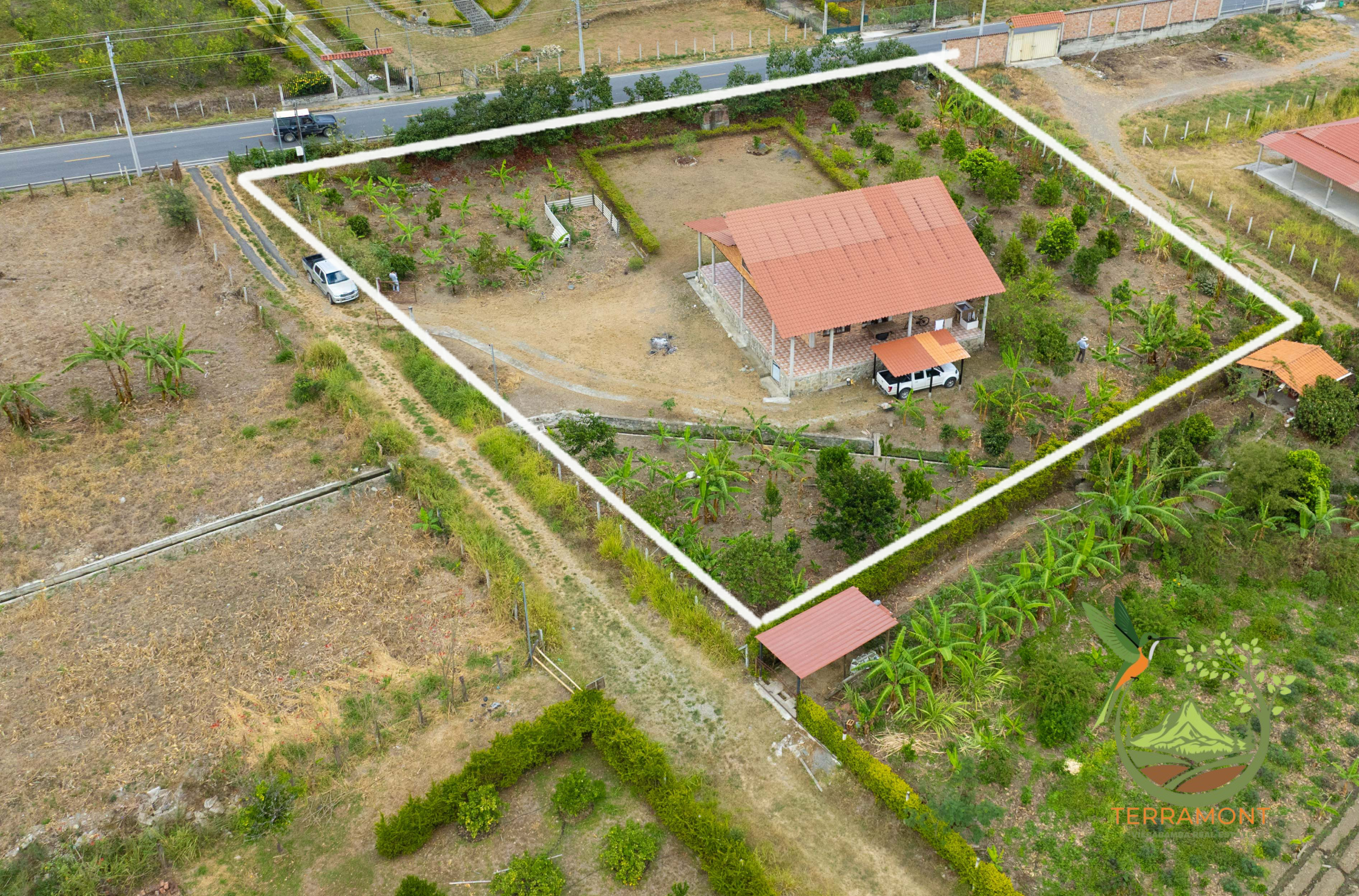 DJI_0575